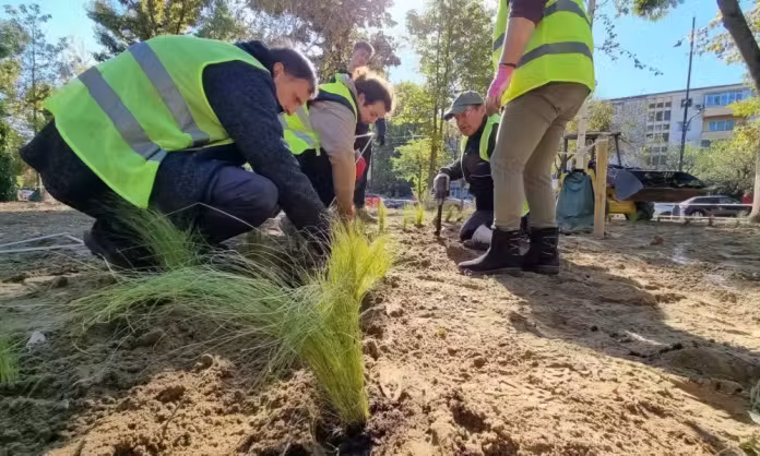 Parcul Central din Hunedoara intră într-o nouă etapă de amenajare florală